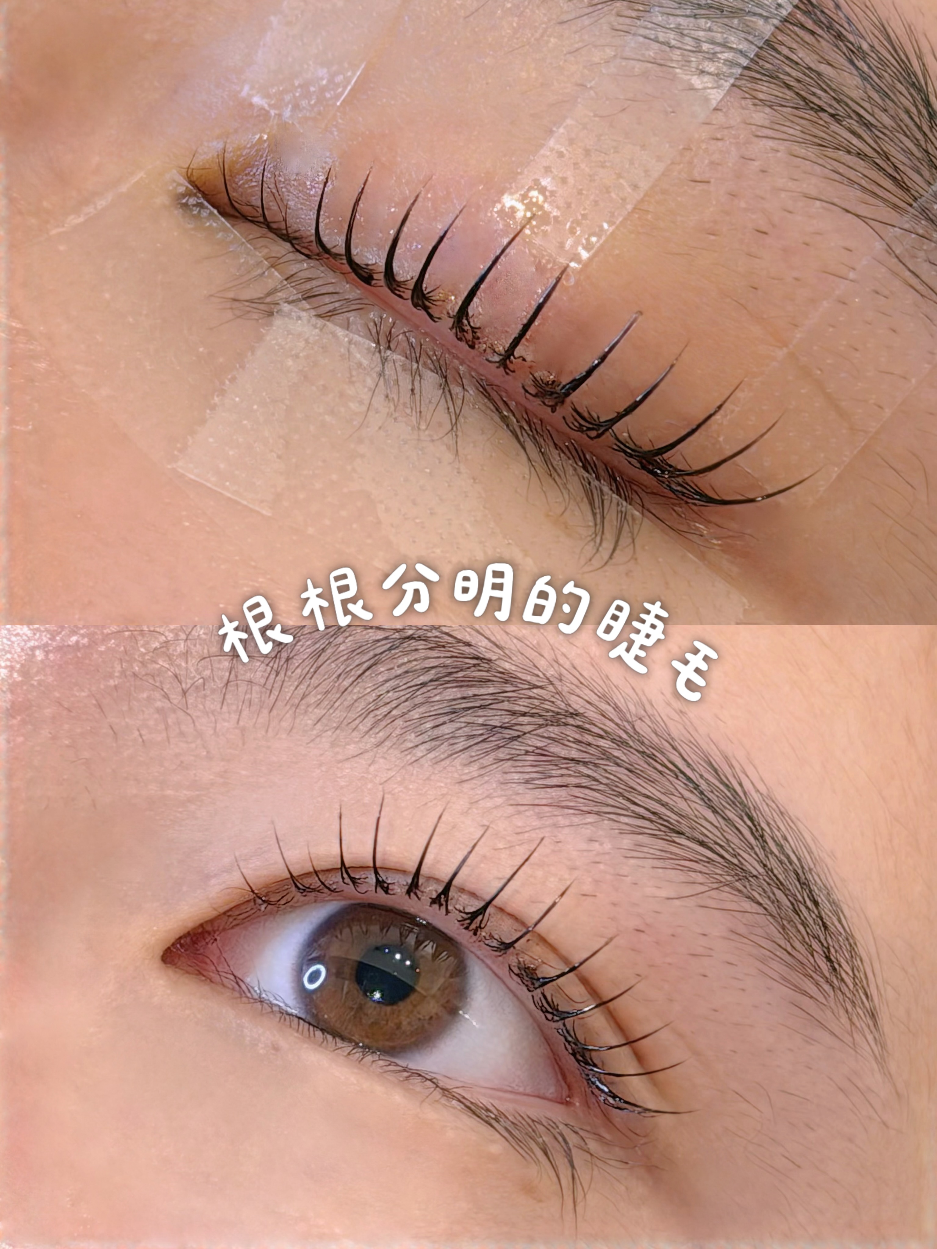根根分明